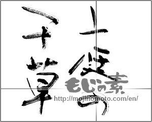 Japanese calligraphy "庭の千草" [24211]