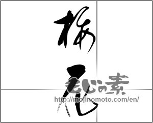 Japanese calligraphy "櫻花" [24271]
