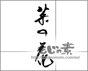 Japanese calligraphy "菜の花 (rape blossoms)" [24412]