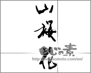 Japanese calligraphy "山桜花" [28223]