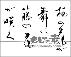 Japanese calligraphy "桜の花が舞い藤の花が咲く" [28592]