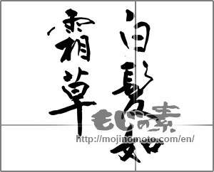 Japanese calligraphy "白髪如霜草" [29438]