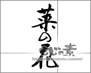 Japanese calligraphy "菜の花 (rape blossoms)" [31675]
