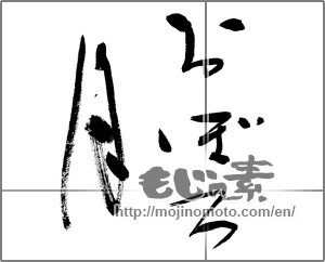 Japanese calligraphy "おぼろ月" [32088]