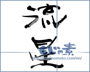 Japanese calligraphy "流星 (meteor)" [9009]