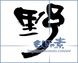 Japanese calligraphy "野 (plain)" [9179]