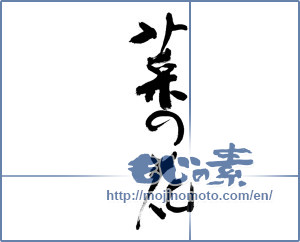 Japanese calligraphy "菜の花 (rape blossoms)" [9499]