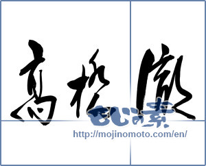 Japanese calligraphy "高橋 徹" [9678]