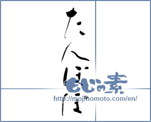 Japanese calligraphy "たんぽぽ (dandelion)" [9814]