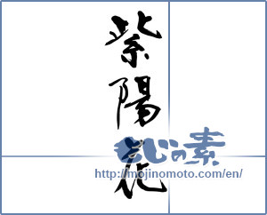 Japanese calligraphy "紫陽花 (hydrangea)" [9822]