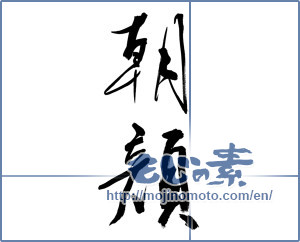 Japanese calligraphy "朝顔 (Japanese morning glory)" [9892]