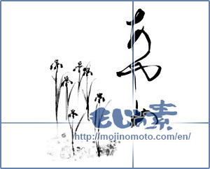Japanese calligraphy "あやめ" [9916]
