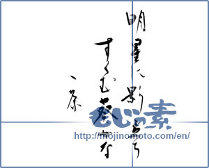 Japanese calligraphy "明星に影立ちすくむ葵かな　一茶" [9981]